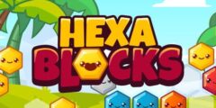 Hexa Blocks