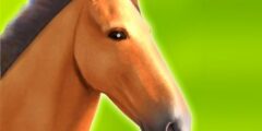 Horse Run 3D